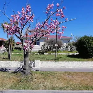 Double Room, Near The Center Christchurch