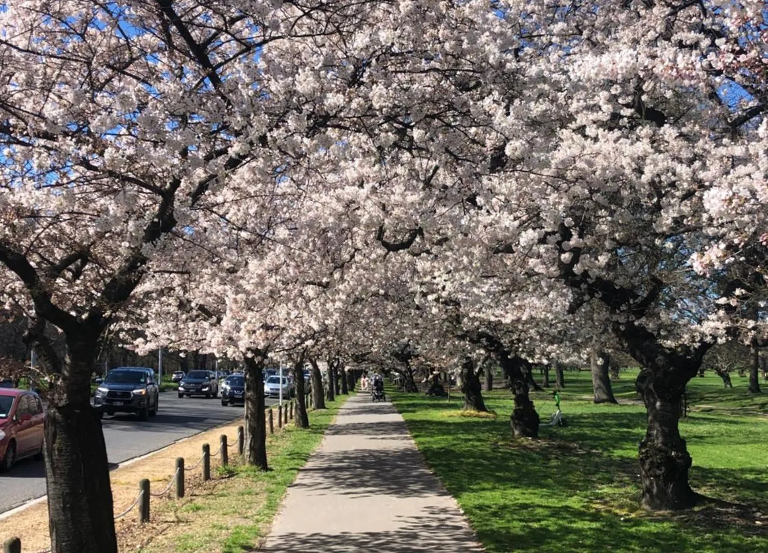 **** Hotel Chateau On The Park - Christchurch, A Doubletree By Hilton New Zealand