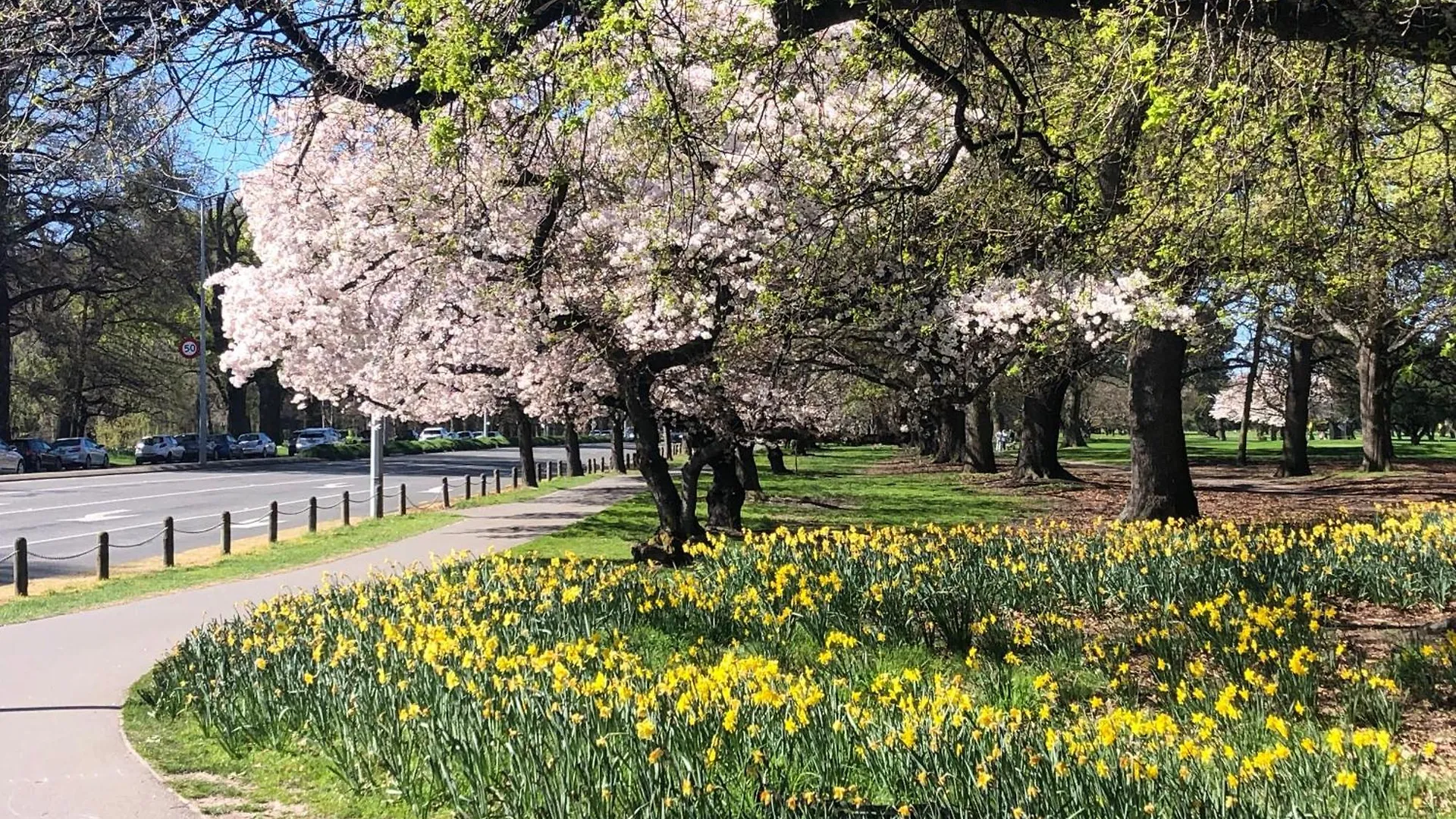 Отель Chateau On The Park - Christchurch, A Doubletree By Hilton